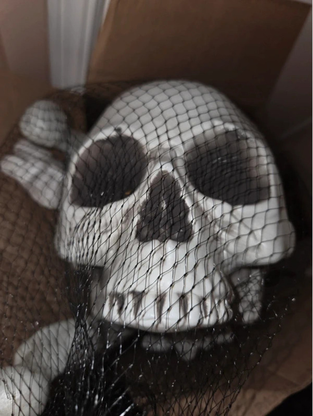 Skeleton bones halloween